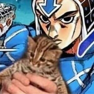 Meet your Posher, Sophia